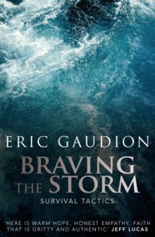 Cover of Braving the Storm